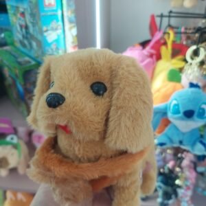 Perrito que camina