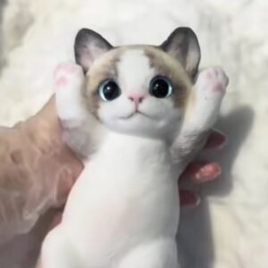 Squishy de gatito