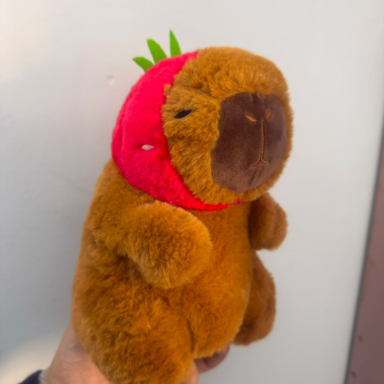 Peluche capybara con sombrero